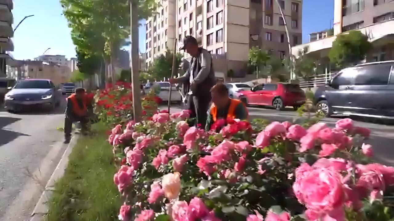 sirnak-belediyesi-6.jpeg