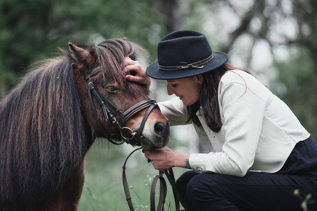 horse-9331340-1280.jpg