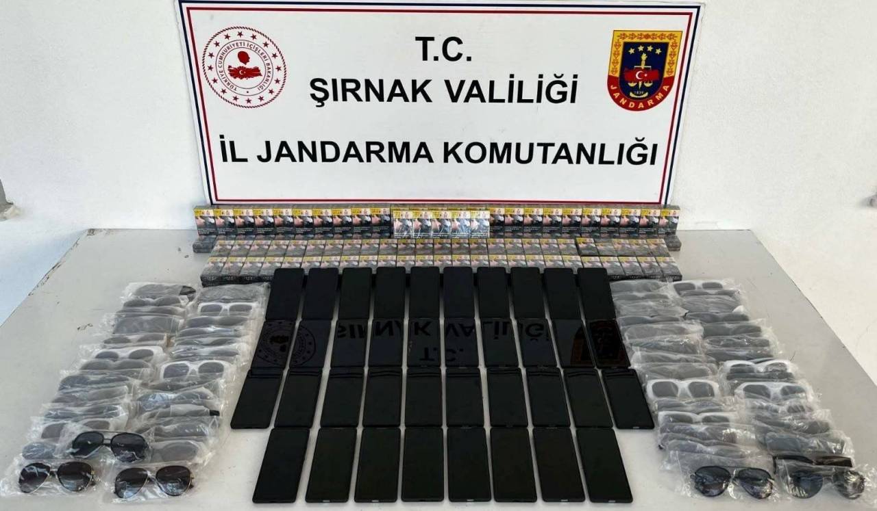 rnakta-kacakcilik-ve-terorle-mucadele-operasyonlari-52-supheli-hakkinda-islem-yapildi-7.jpeg