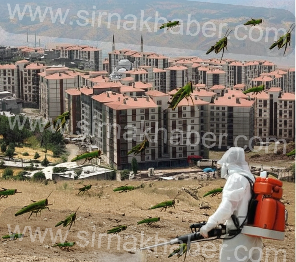 sirnak-cekirge-ilaclama.png