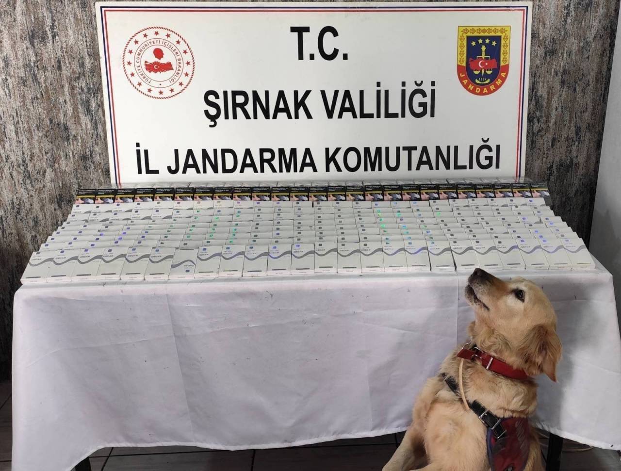 sirnak-jandarma-kacakcilik-2.jpeg