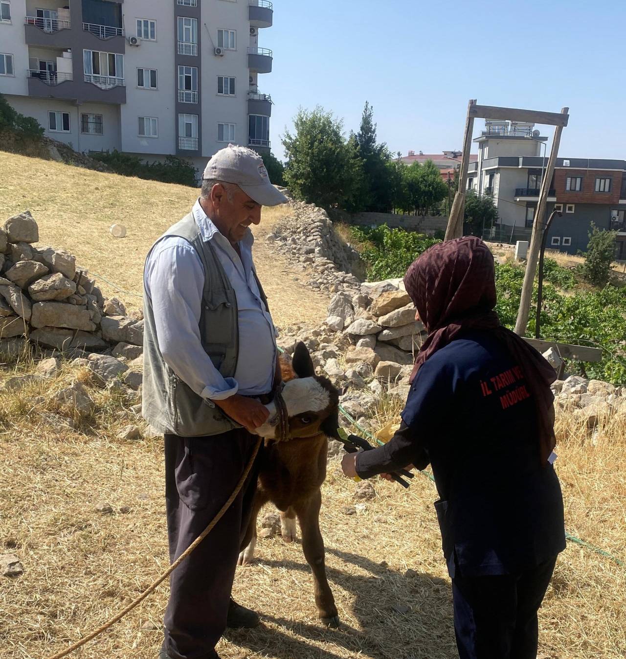 sirnakta-buyukbas-ve-kucukbas-hayvanlara-tam-kapsamli-saglik-kontrolu2.jpg