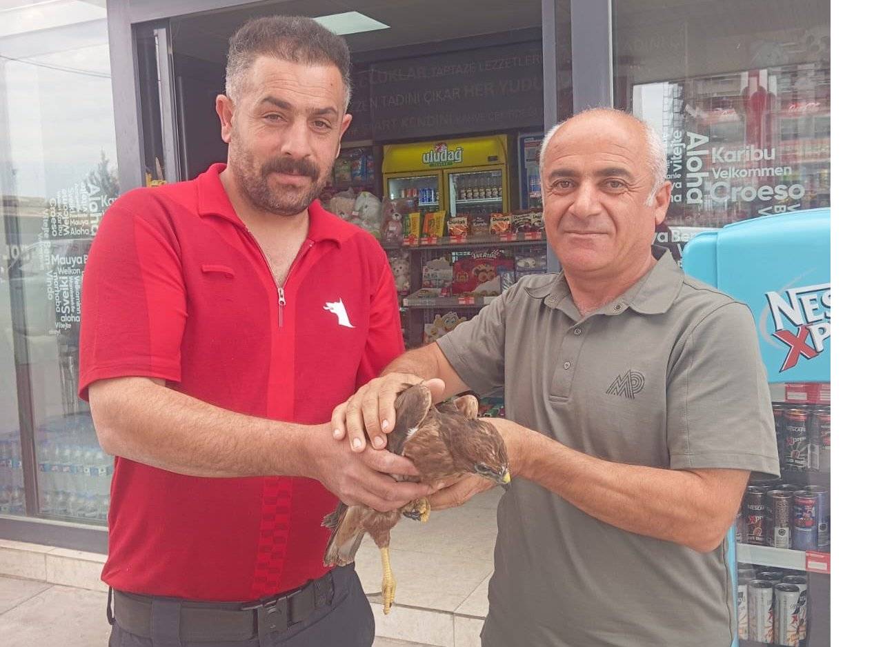 sirnakta-yarali-sahinler-tedavi-altina-alindi-4.jpg