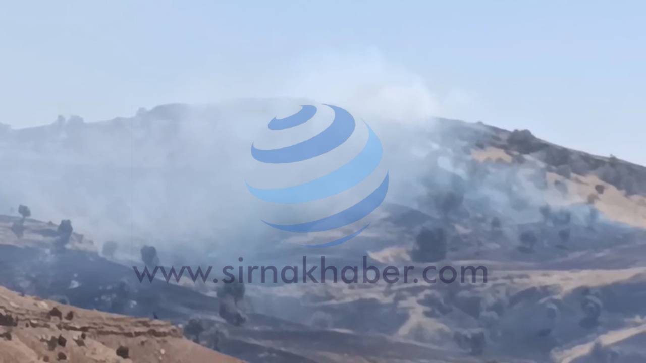 silopi-ortu-yangini-cikti-100-donum-arazi-kul-oldu-www-2.jpg
