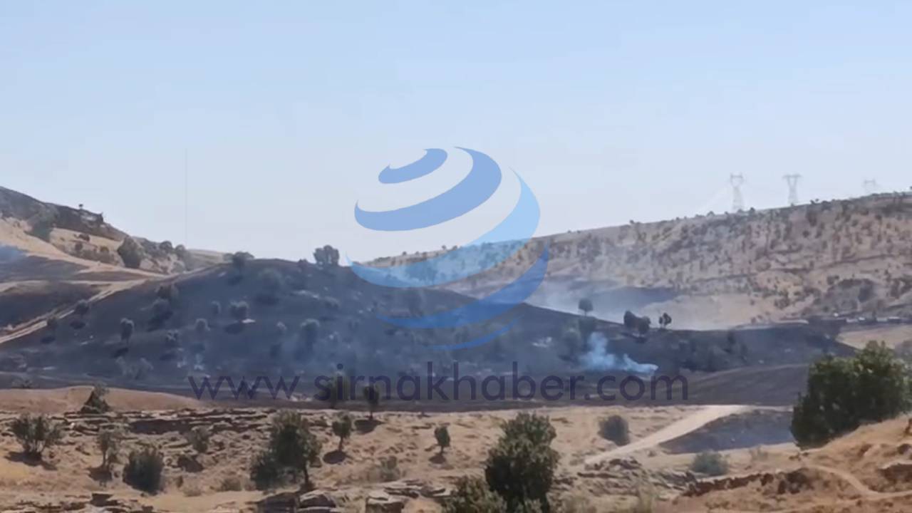 silopi-ortu-yangini-cikti-100-donum-arazi-kul-oldu-www-3.jpg
