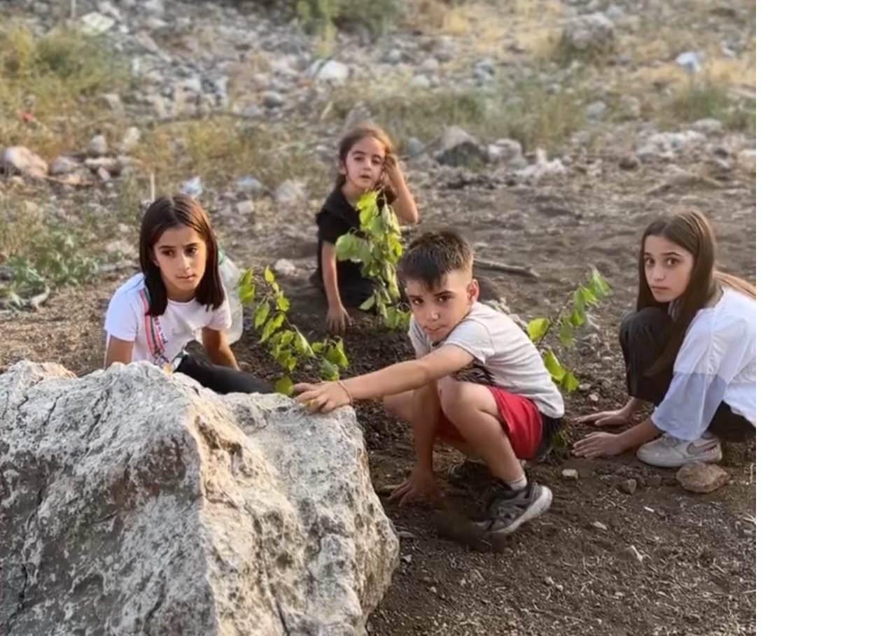 rnakli-yonetmen-talat-akildan-orman-kesimine-duyarli-skec-2.jpeg