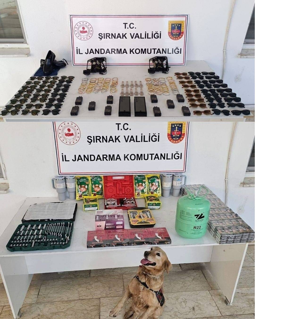 jandarmadan-sirnakta-buyuk-operasyon-evlerden-ve-araclardan-servet-cikti-1.jpeg