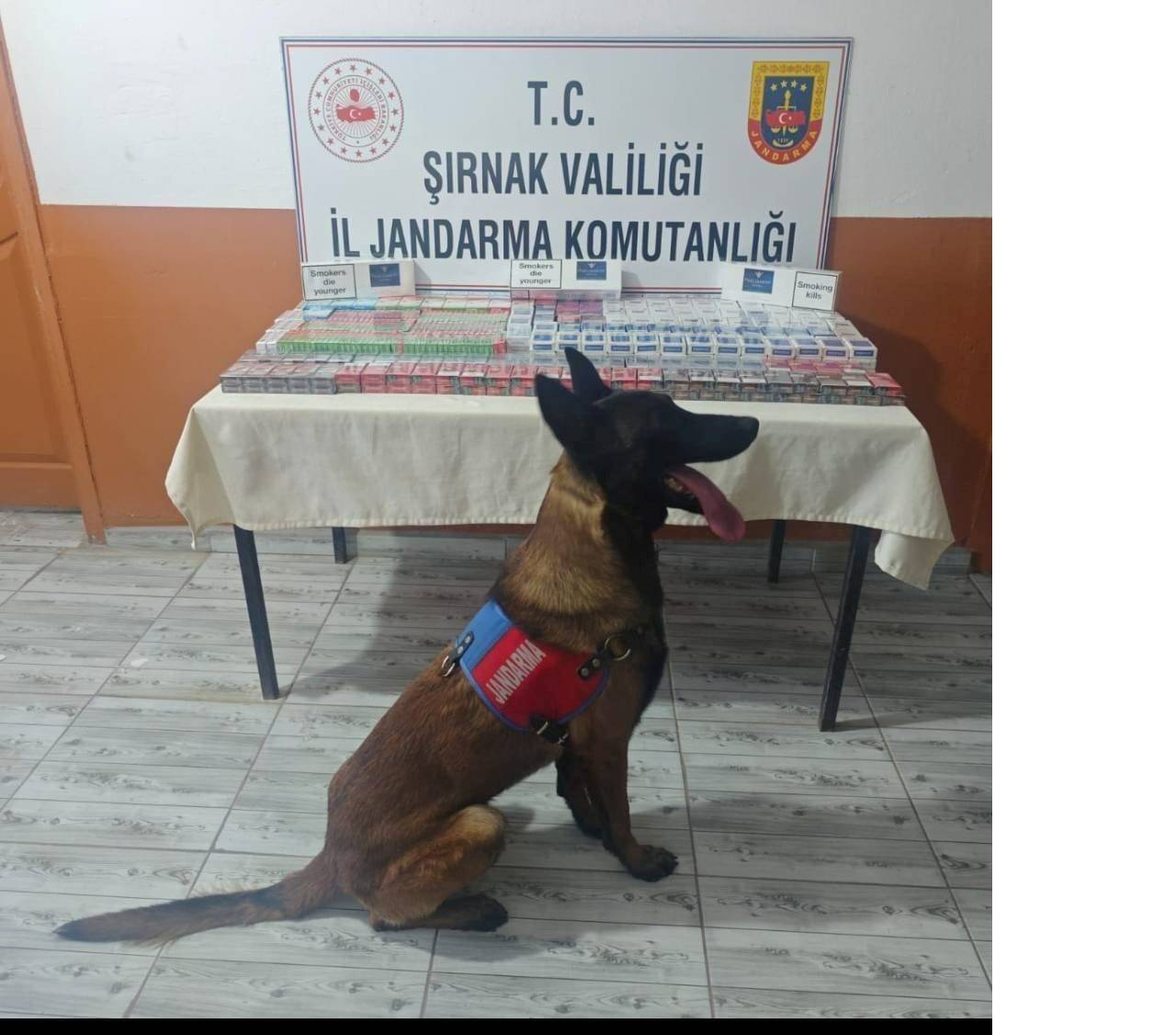 jandarmadan-sirnakta-buyuk-operasyon-evlerden-ve-araclardan-servet-cikti-3.jpeg