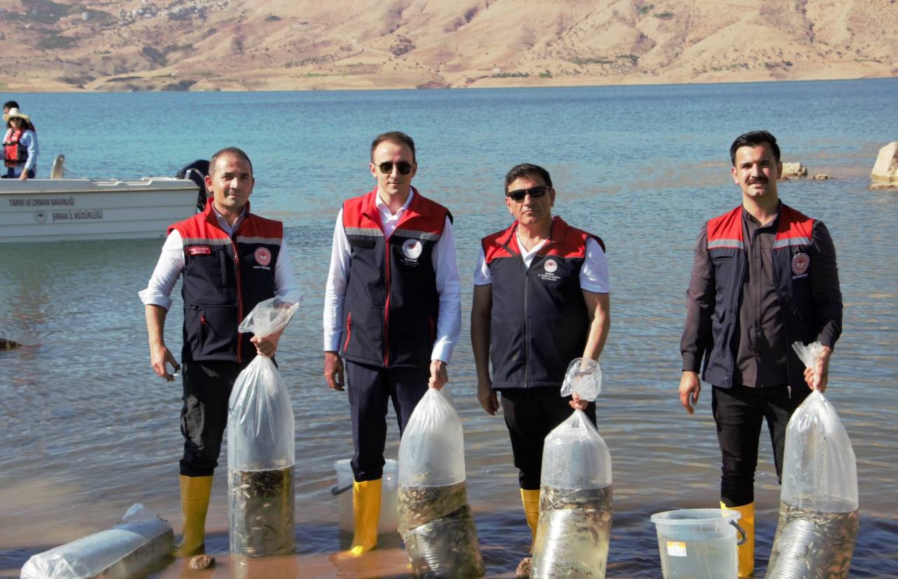 sirnakta-dev-baliklandirma-hamlesi-900-bin-sazan-gole-salindi-2.jpg