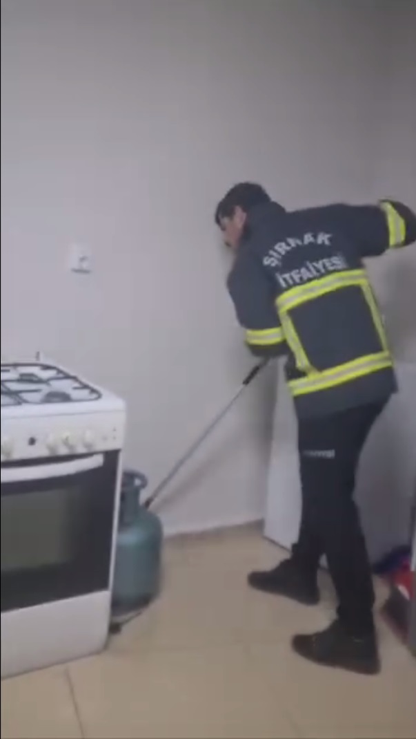 fdsfsdf.jpeg