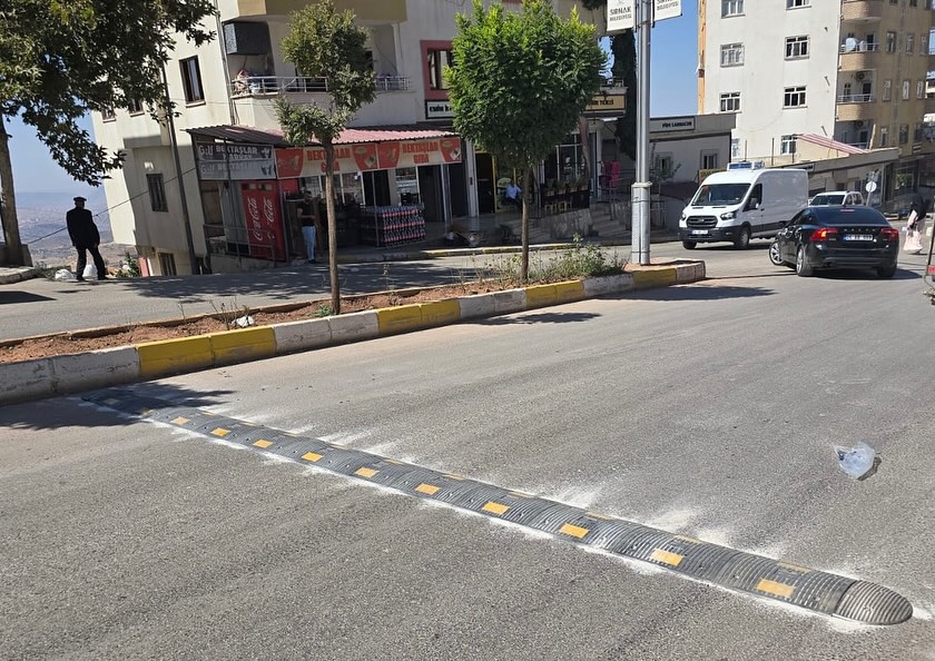 ulastirma-hizmetlerimiz-tarafindan-yaya-ve-arac-trafiginin-yogun-oldugu-cadde-ve-okul-cevreleri-3.jpg