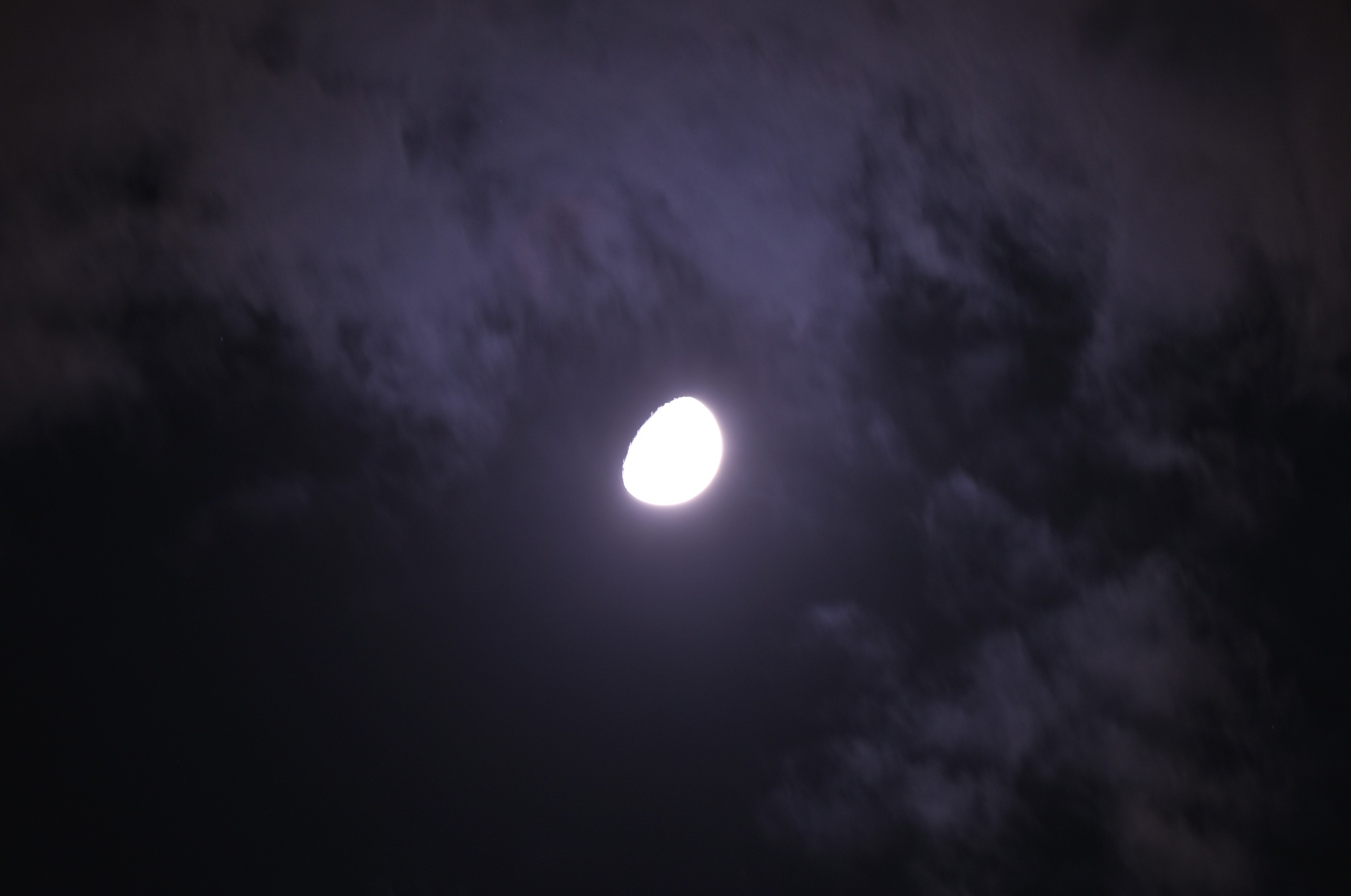 aw550794-04.jpg