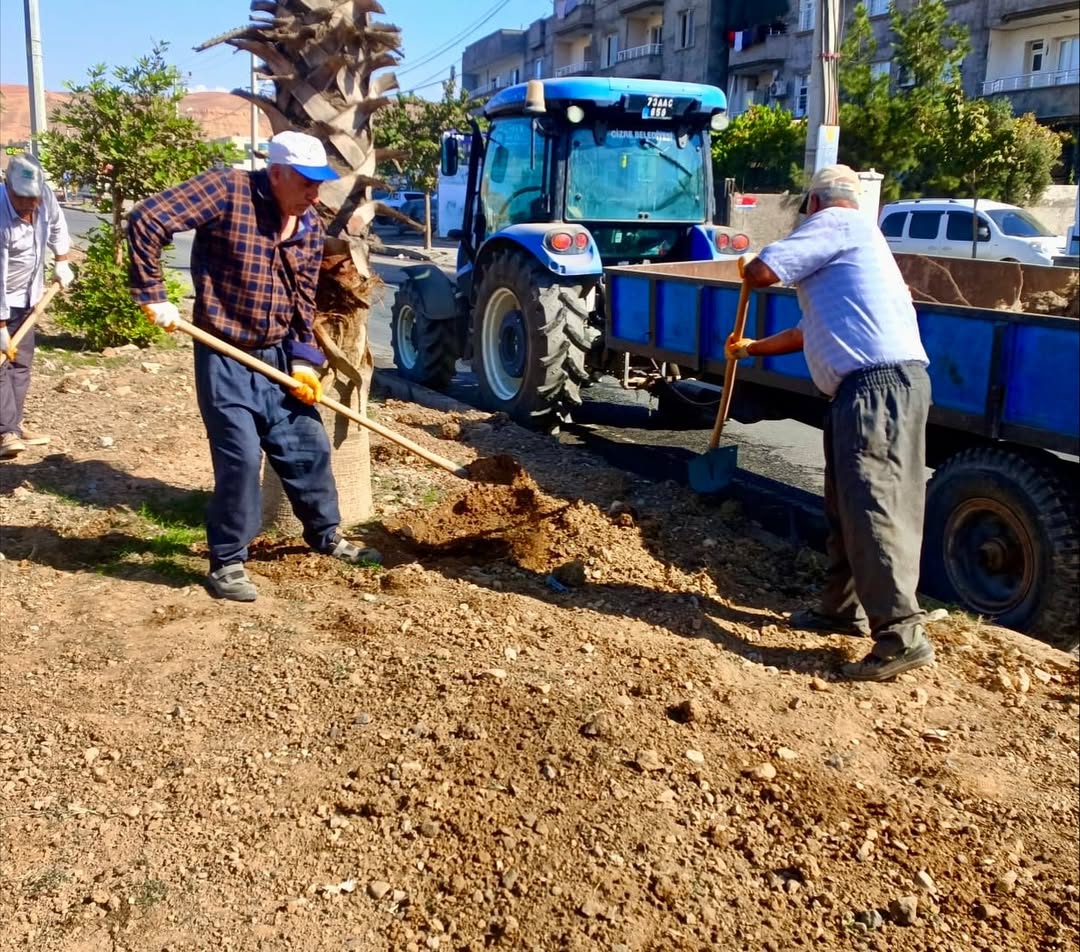 park-ve-bahceler-mudurlugu-calismalari-devam-ediyorbelediyemiz-park-ve-bahceler-mudurlugu-eki-2.jpg