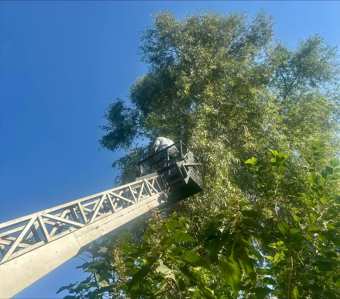 park-ve-bahceler-mudurlugu-calismalari-devam-ediyorbelediyemiz-park-ve-bahceler-mudurlugu-eki-7.jpg