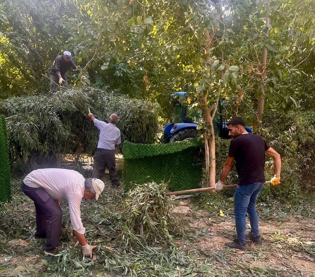 park-ve-bahceler-mudurlugu-calismalari-devam-ediyorbelediyemiz-park-ve-bahceler-mudurlugu-eki.jpg