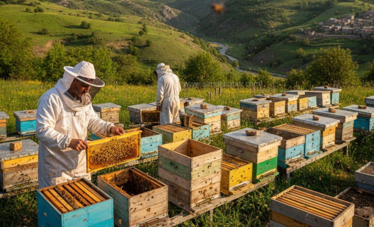 sirnakta-aricilik-ekonomiye-katki-sagliyor-yillik-700-ton-bal-uretiliyor-3-001.png