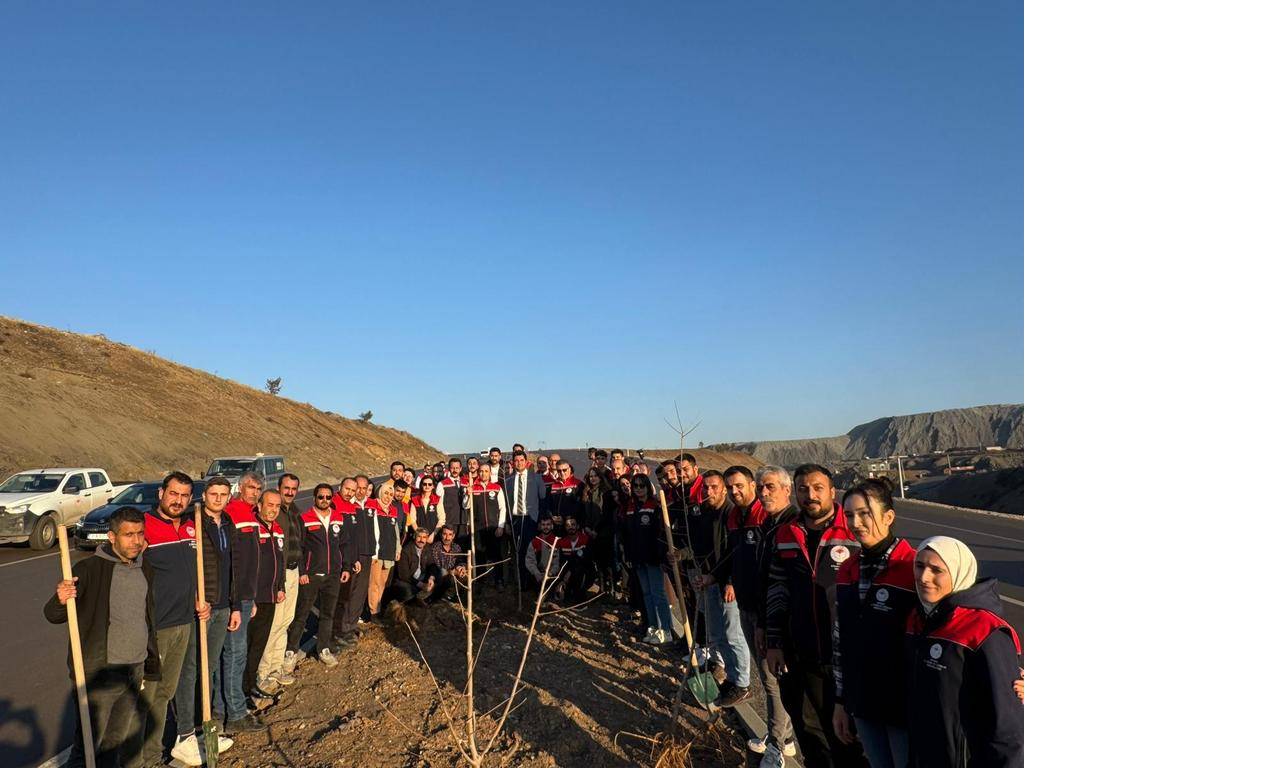 rnak-cizre-karayolunda-3-kilometrelik-alanda-365-fidan-toprakla-bulustu-m.jpg