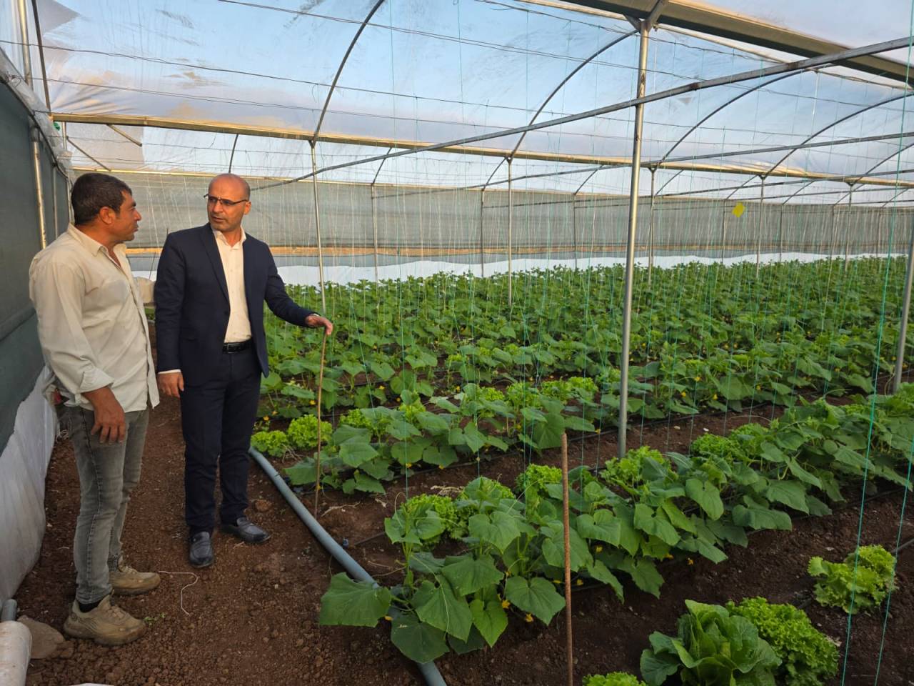 rnakta-kislik-sebze-projesi-suruyor-ureticilere-fide-destegi-sonrasi-arazi-kontrolu-1.jpg