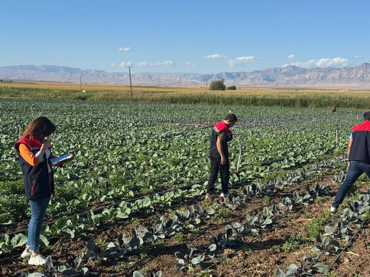 rnakta-kislik-sebze-projesi-suruyor-ureticilere-fide-destegi-sonrasi-arazi-kontrolu-3.jpg