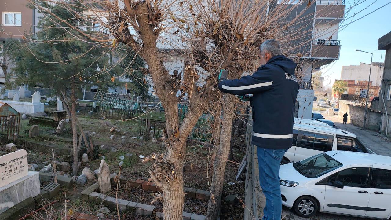 silopi-belediyesi-mezarlik-bakim-mesaisinde-1.jpg