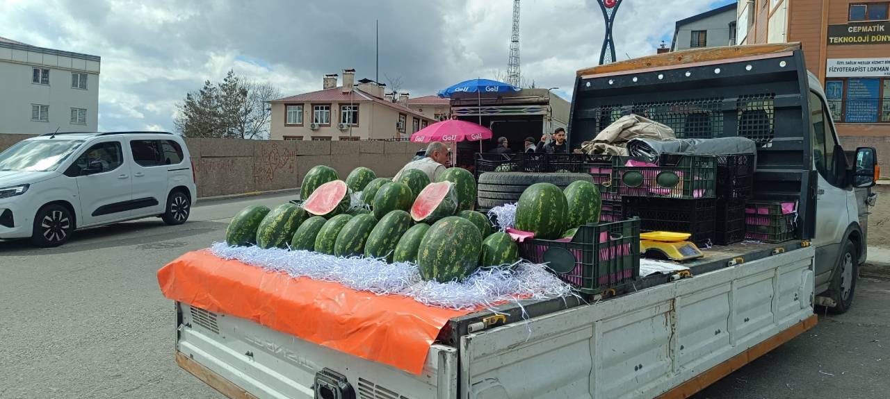 sirnak-iran-karpuzu4.jpeg