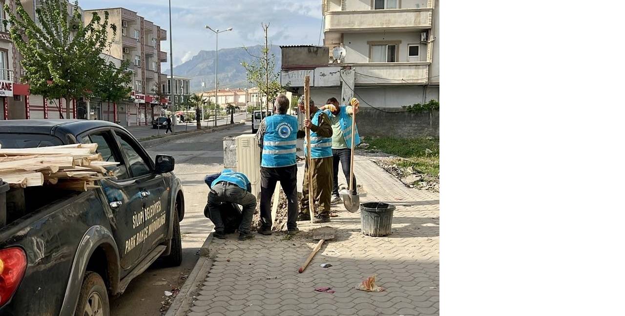 silopide-agaclandirma-seferberligi-cadde-ve-sokaklar-yesilleniyor-3.jpg