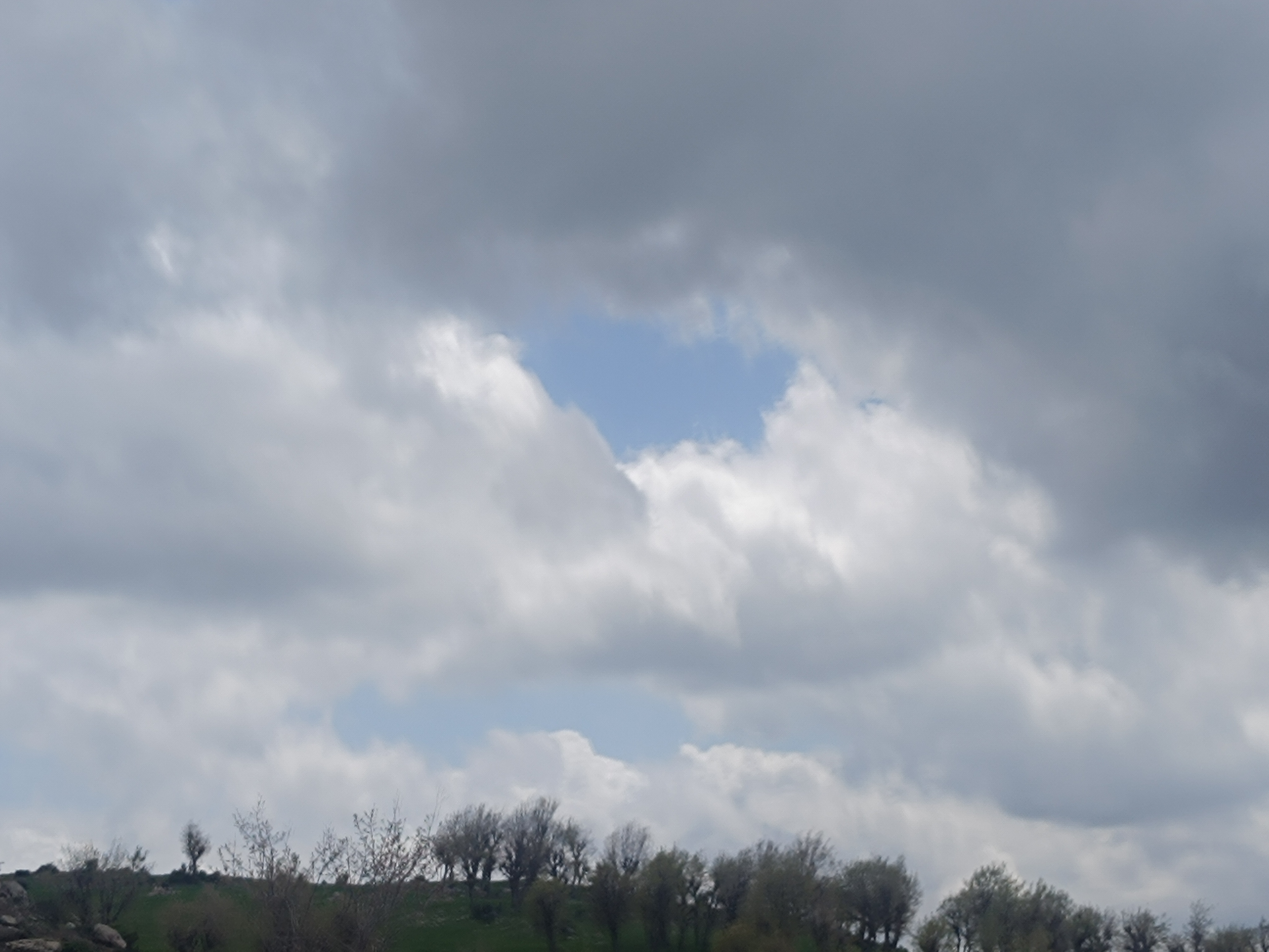 img-20260502-121651.jpg