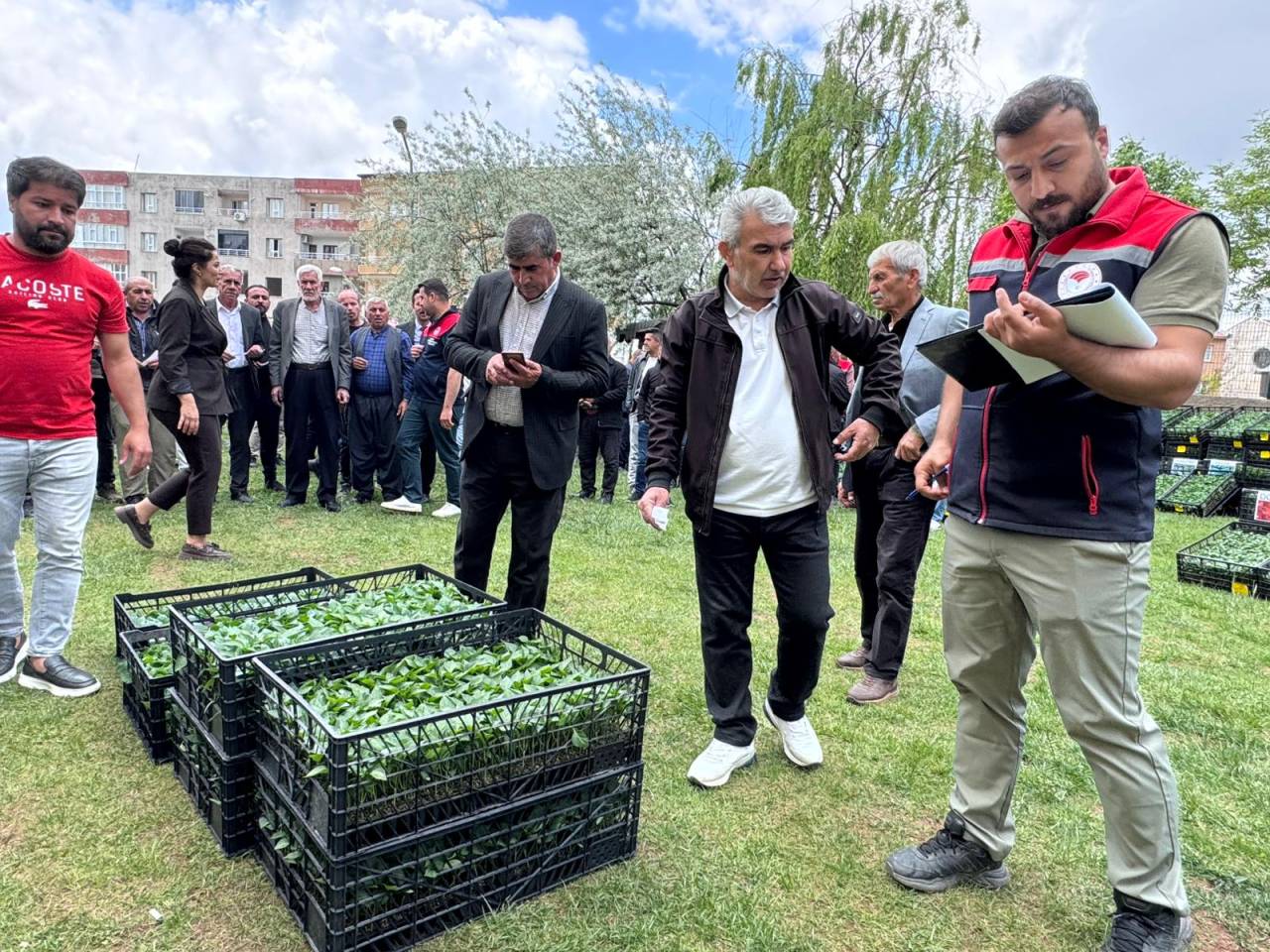 sirnakta-ciftcilere-sebze-fidesi-destegi-1.jpg