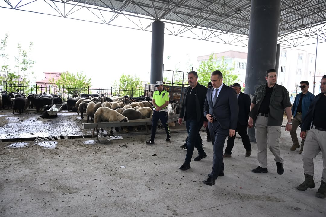 saveclip-app-704636448-17949342735179356-8046730100579696823-n.jpg