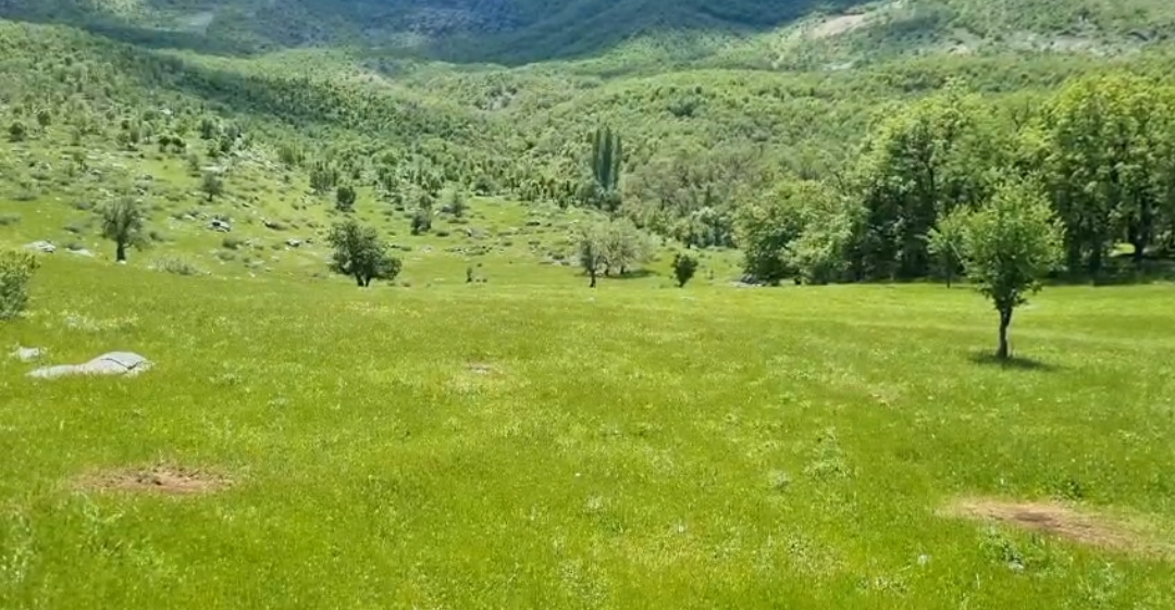 screenshot-2026-05-24-09-49-20-367-com-whatsapp-edit.jpg