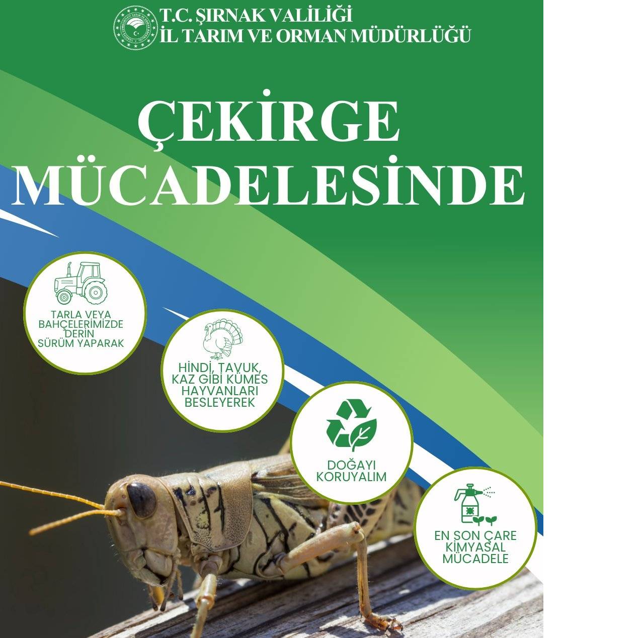 sirnakta-cekirgeyle-mucadelede-kulturel-yontemlere-dikkat-cekildi.jpg