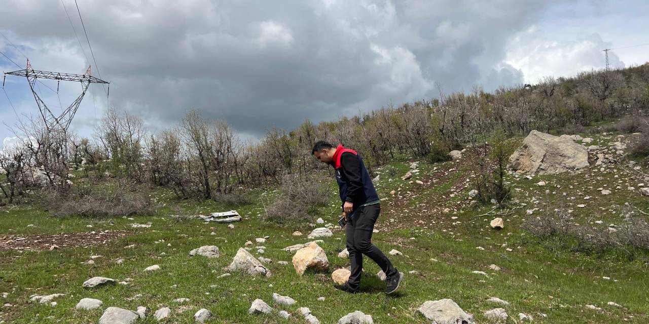sirnakta-cekirge-uyarisi-tarim-alanlarinda-gorulmeye-baslandi-1.jpg