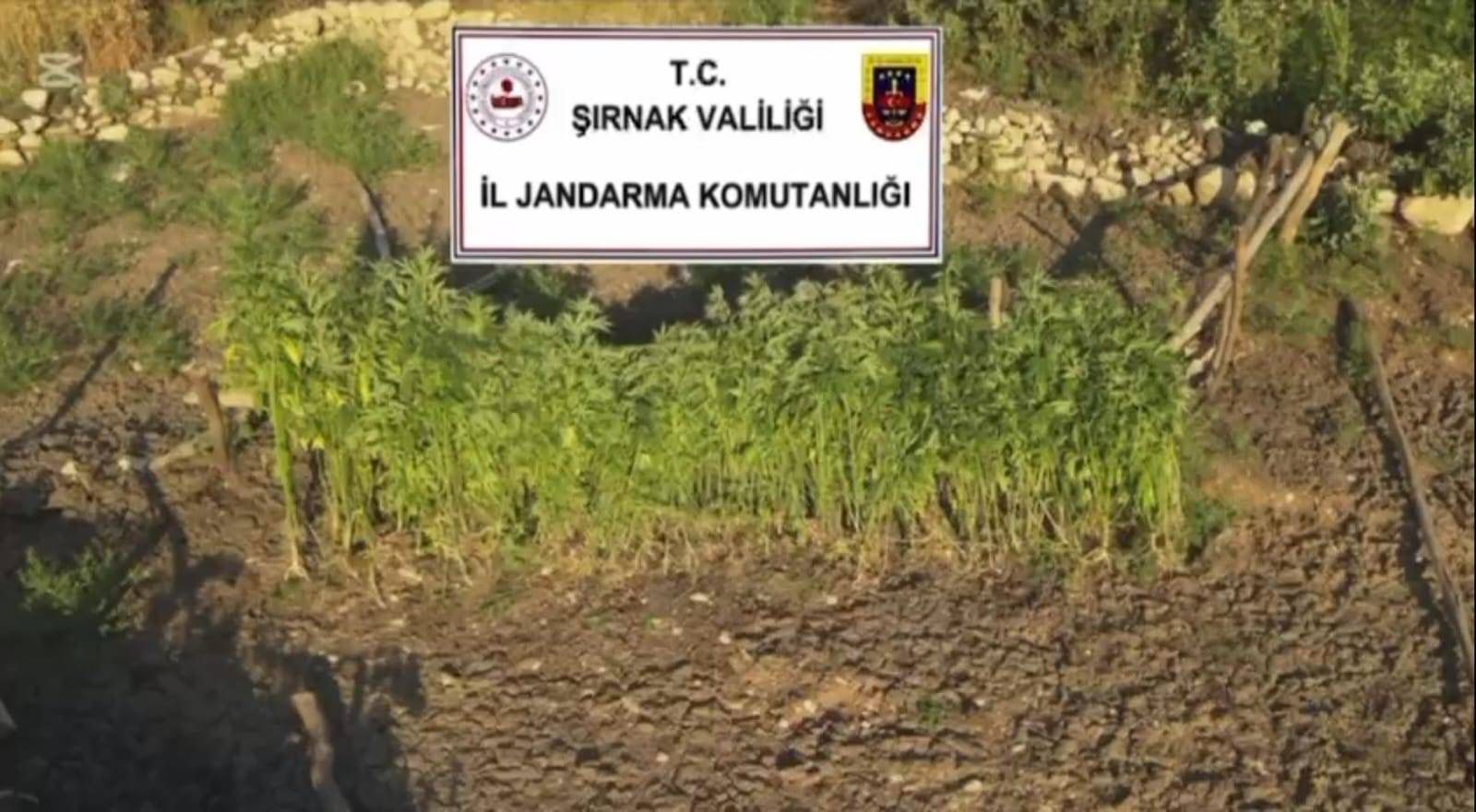 rnak-merkezli-3-ilde-uyusturucu-operasyonu-5-gozalti-2.jpeg
