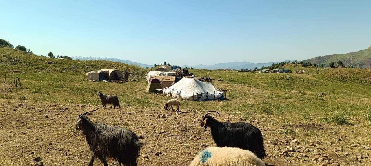 rnakta-hayvanciligin-kalbi-behra-hincada-atiyor-001.jpeg