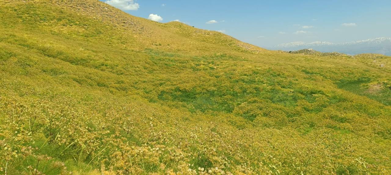 sirnakta-uc-mevsim-ayni-karede-heliz-tarlalarindan-buz-tunellerine-yolculuk.jpeg