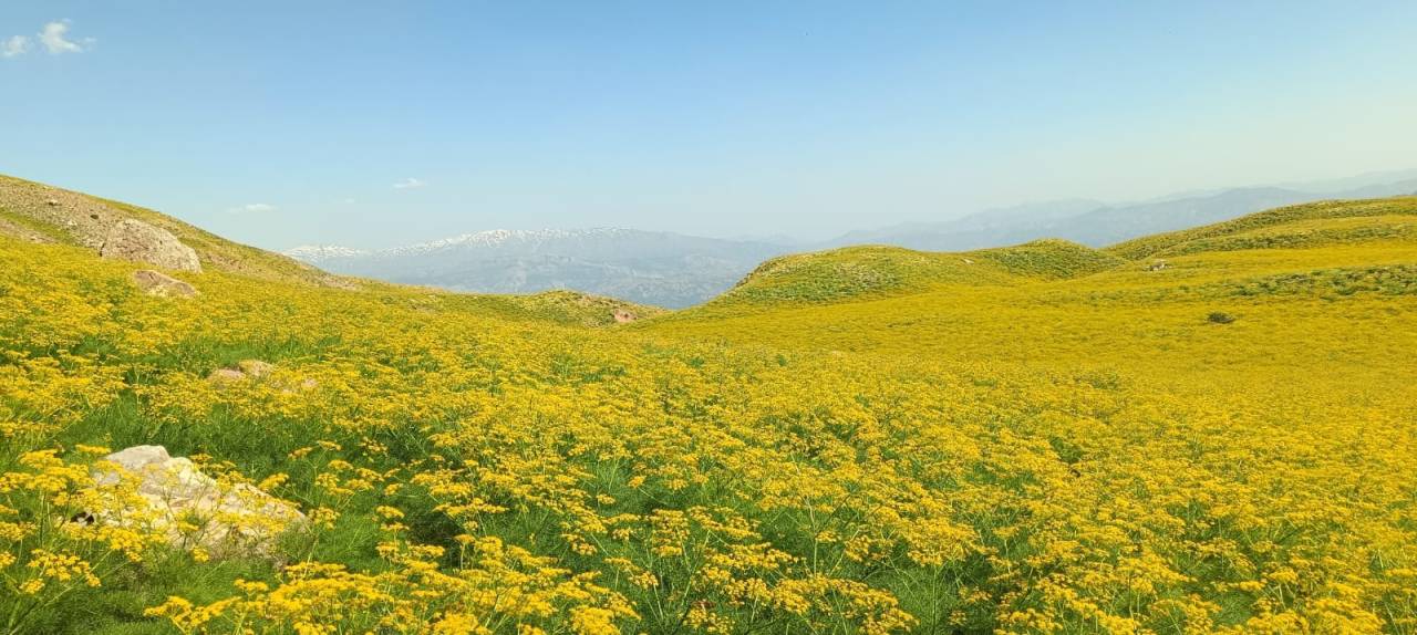 sirnakta-uc-mevsim-ayni-karede-heliz-tarlalarindan-buz-tunellerine-yolculuk2.jpeg