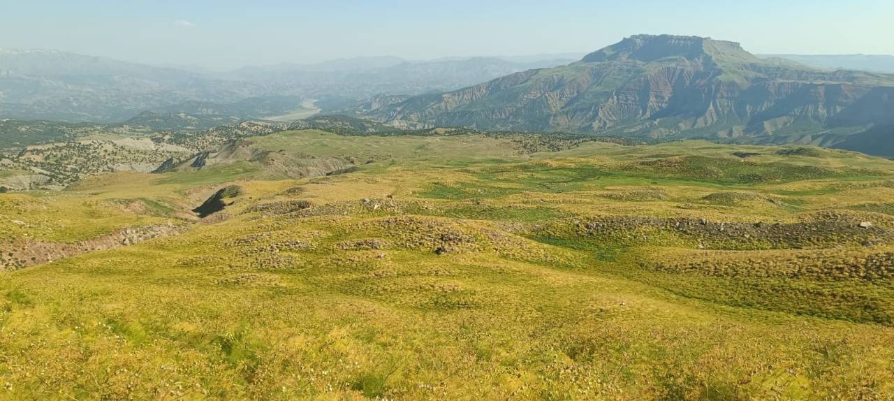 sirnakta-uc-mevsim-ayni-karede-heliz-tarlalarindan-buz-tunellerine-yolculuk5.jpeg