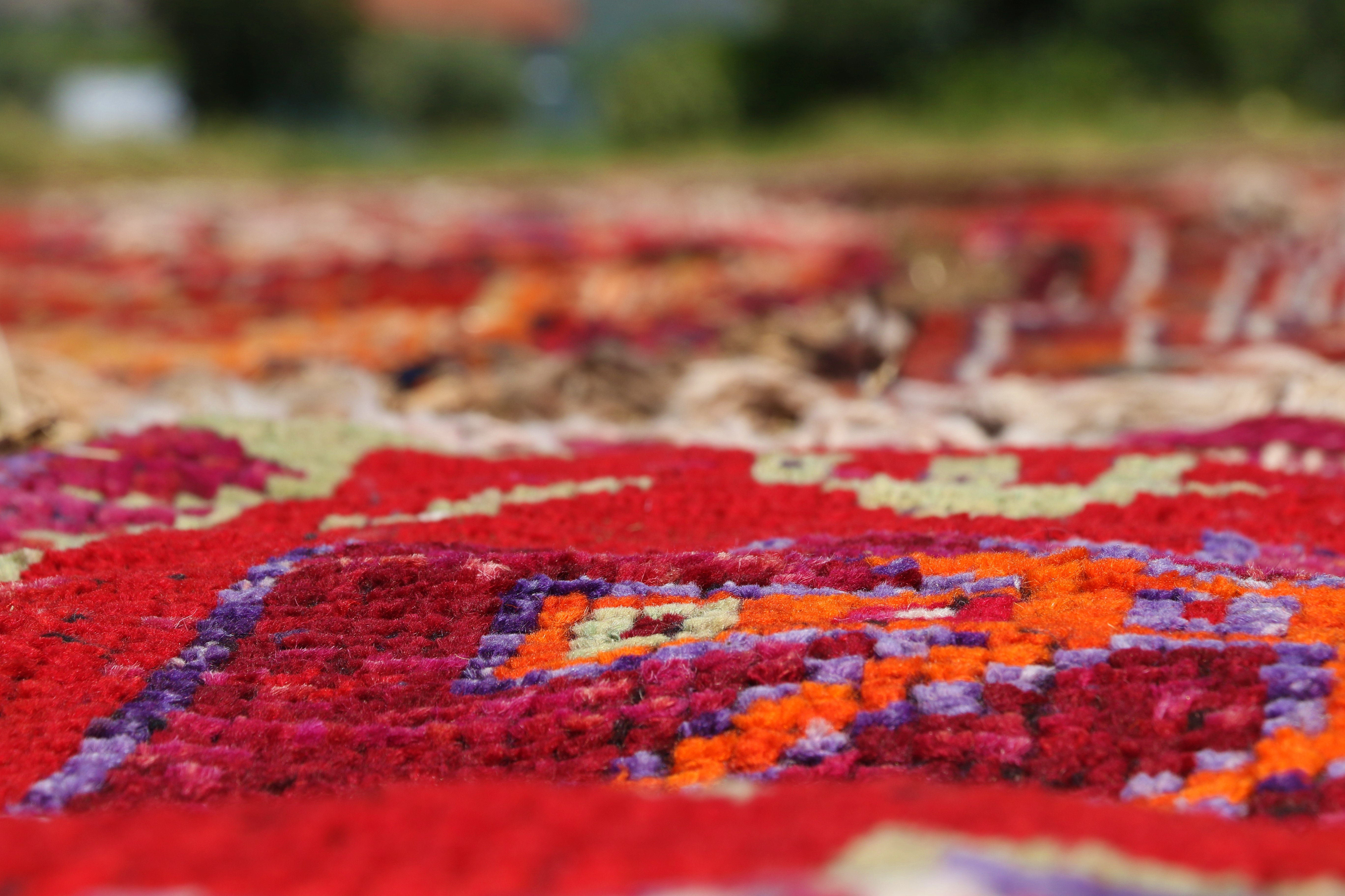 aw734385-04.jpg