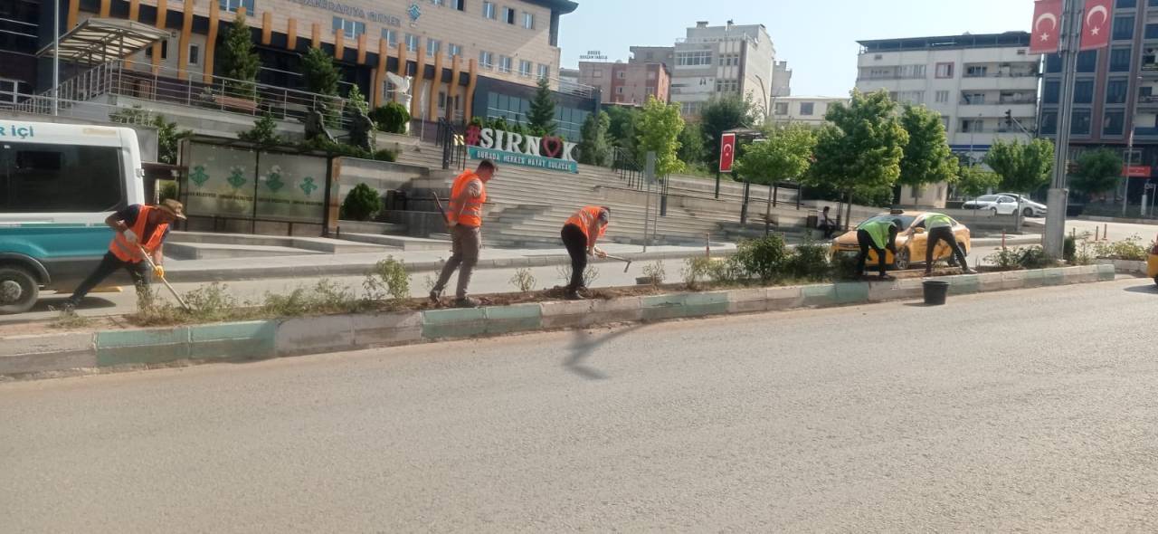 rnakta-temizlik-seferberligi-otlar-biciliyor-riskler-ortadan-kaldiriliyor2.jpeg