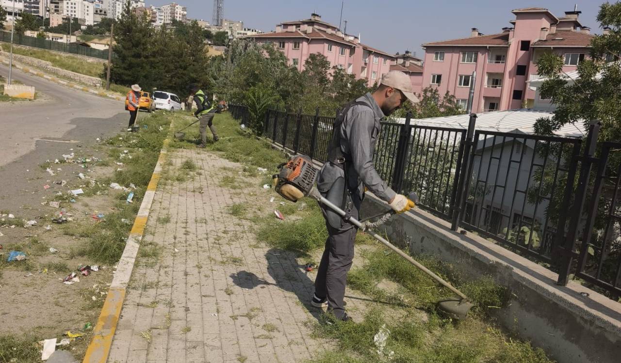 rnakta-temizlik-seferberligi-otlar-biciliyor-riskler-ortadan-kaldiriliyor3.jpeg