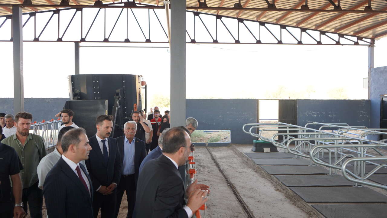 erkan-ibrahim-halil-erkan