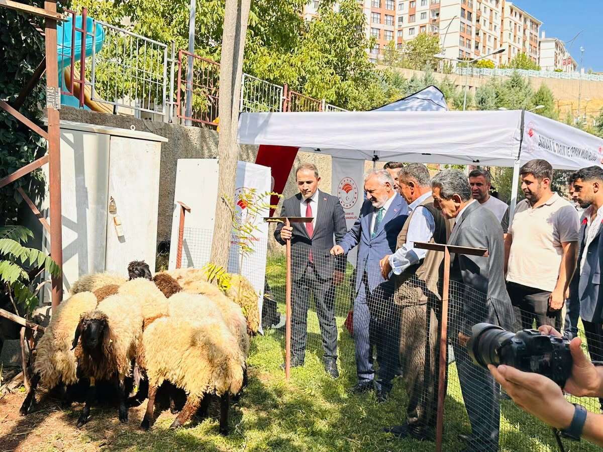 sirnakta-ureticilere-152-bin-sebze-fidesi-ve-coban-cantasi-dagitildi-5
