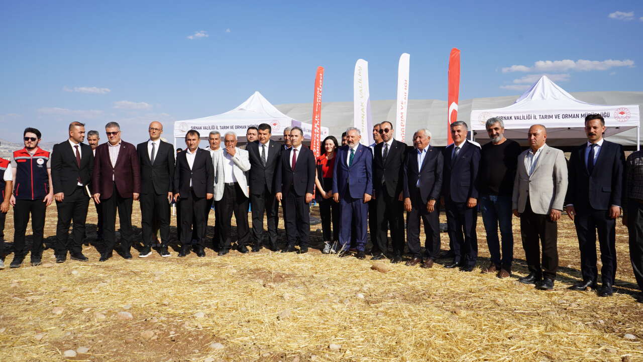 tarim