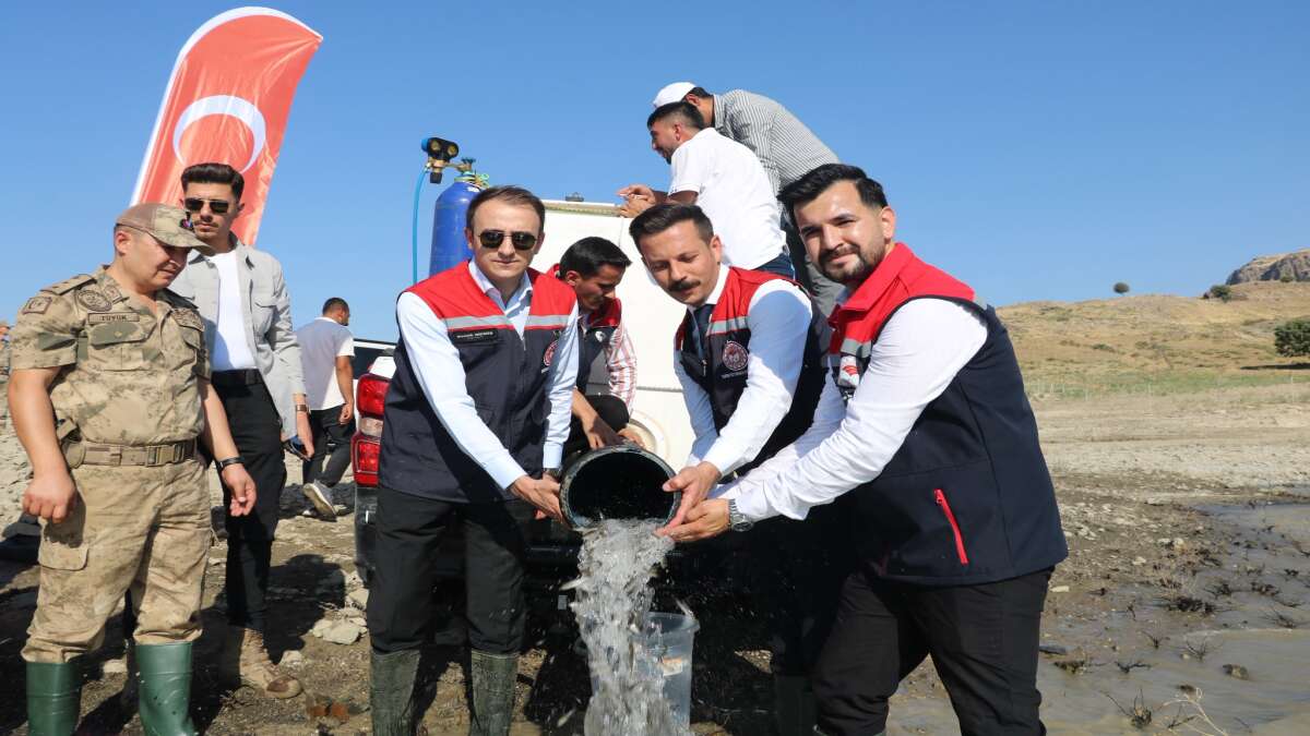 guclukonakta-duzenlenen-etkinlikte-800-bin-yavru-sabut-baligi-ilisu-baraj-golune-birakildi
