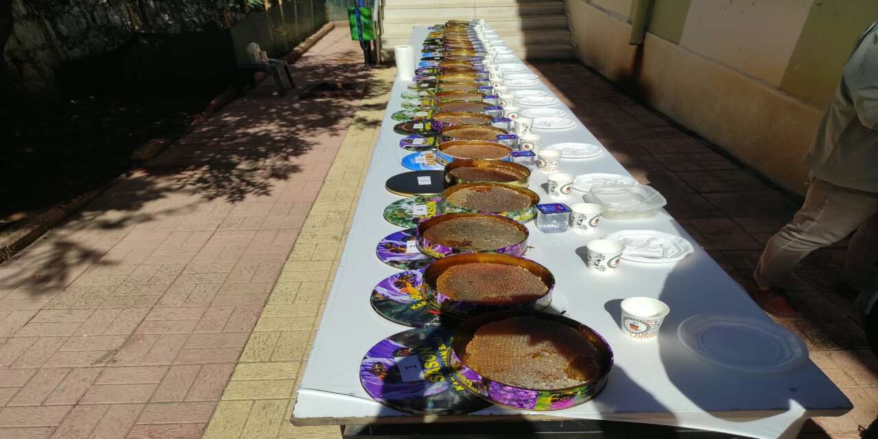 batmanin-sason-ilcesinde-duzenlenen-festival-kapsaminda-gerceklestirilen-bal-yarismasinda-28-aricinin-urettigi-ballar-uzman-juri-tarafindan-degerlendirmeye-alindi