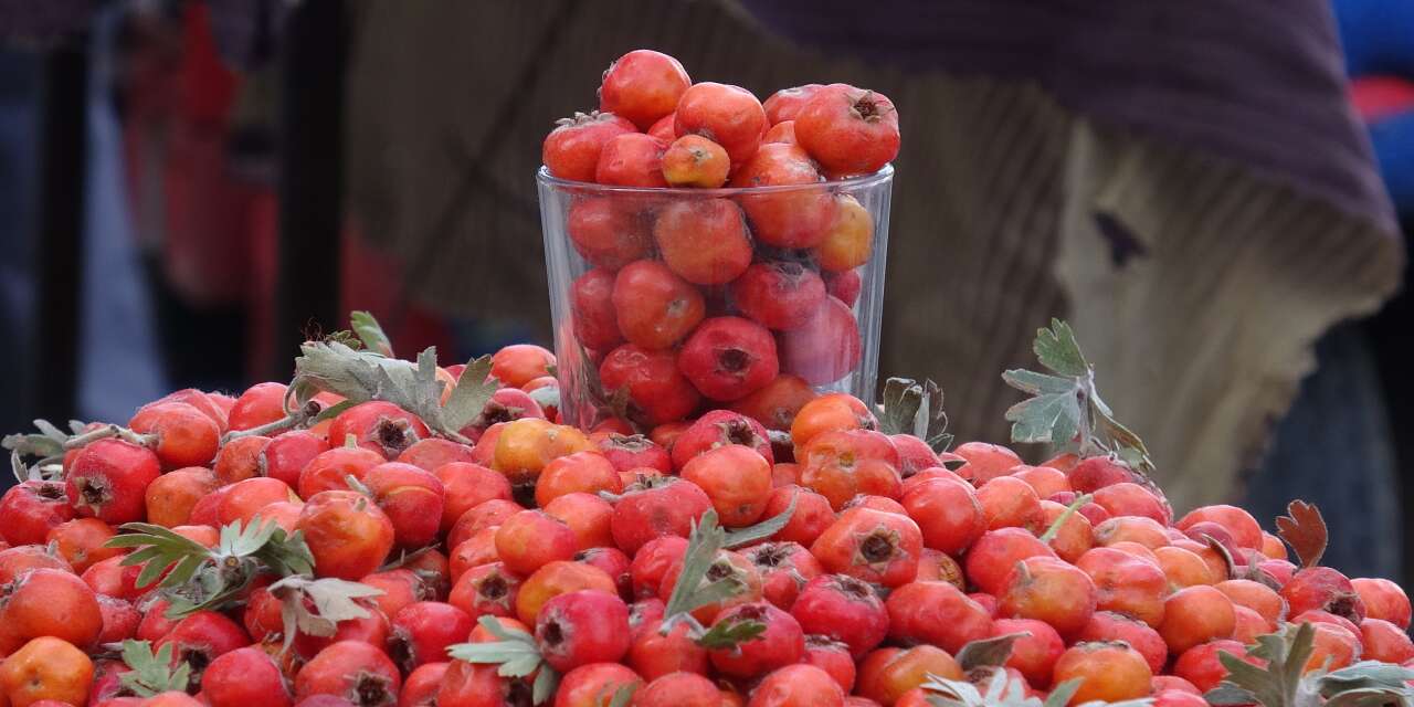 vanda-sonbaharin-simgesi-alic-tezgahlari-suslemeye-basladi-kilosu-400-liradan-satiliyor