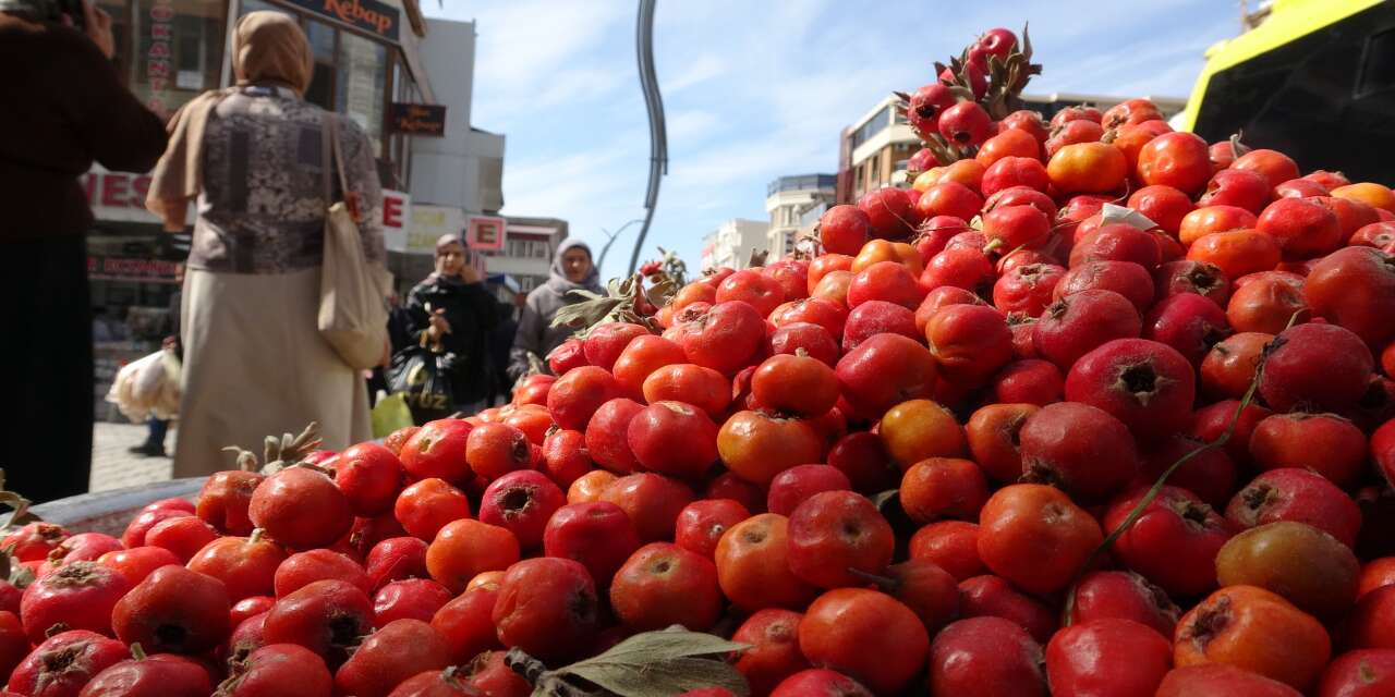 vanda-sonbaharin-simgesi-alic-tezgahlari-suslemeye-basladi-kilosu-400-liradan-satiliyor