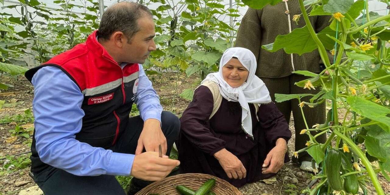 sirnak-il-tarim-ve-orman-muduru-oktay-sezgin-15-ekim-dunya-kadin-ciftciler-gunu-dolayisiyla-serada-uretim-yapan-kadin-ciftcileri-ziyaret-ederek-hasada-katildi